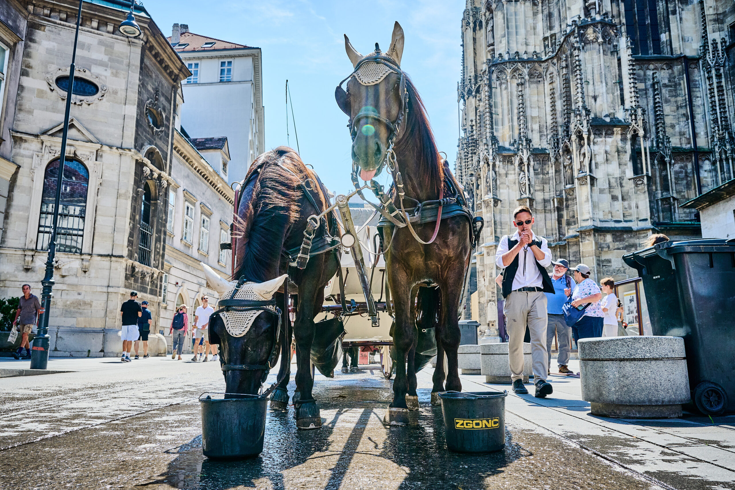 Fiaker auf dem Stephansplatz