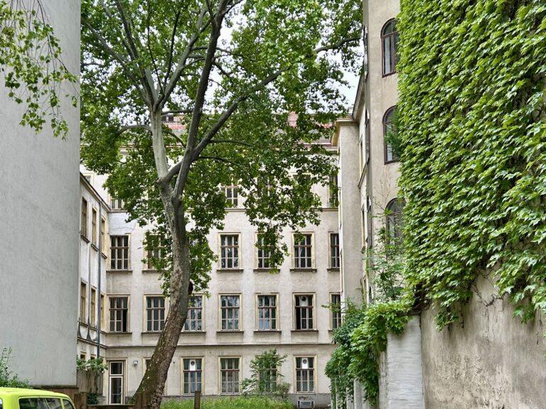 Schule Schwarzingergasse