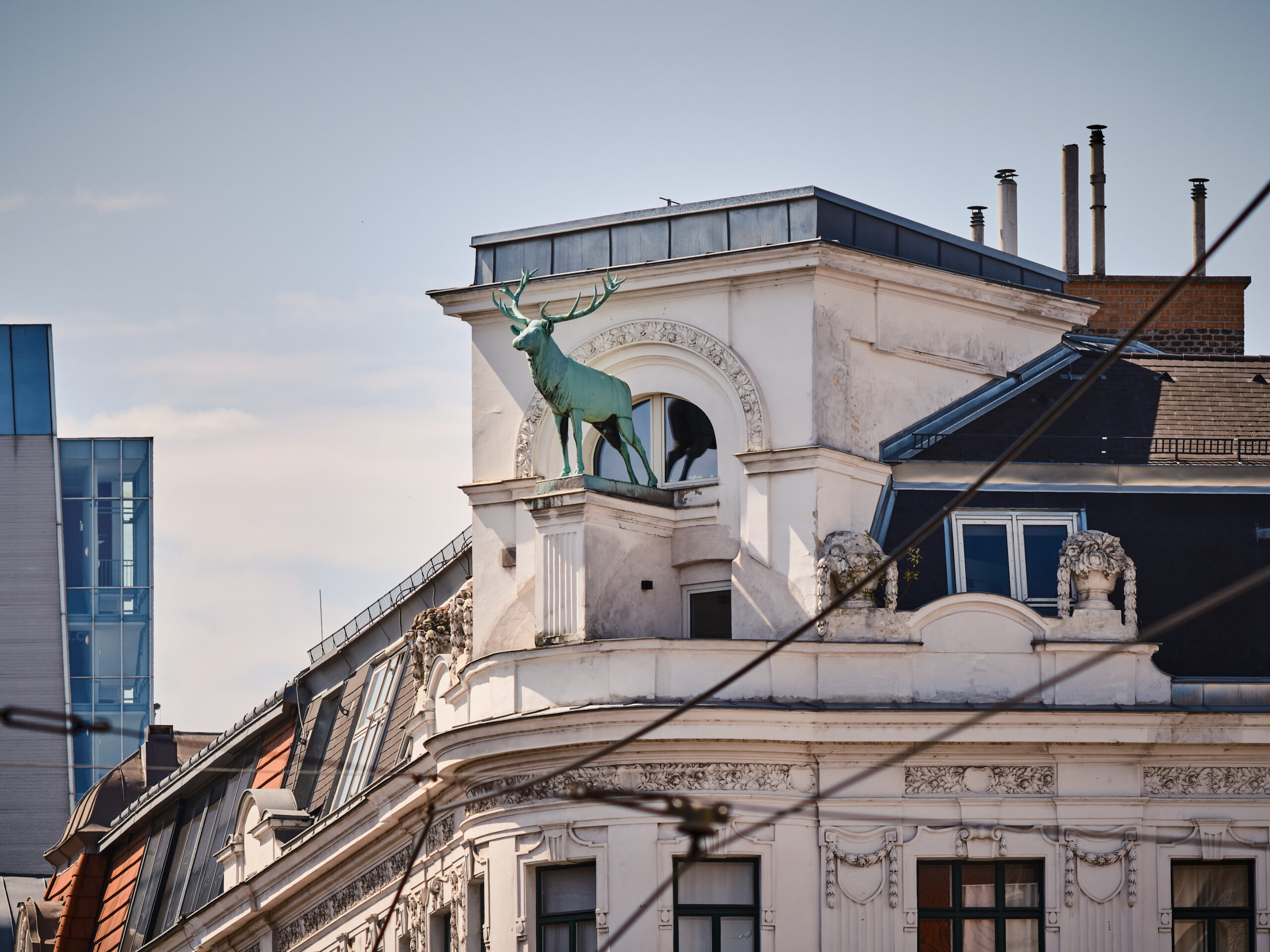 Hirsch auf einem Haus am Karmeliterplatz